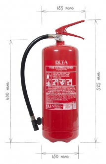 P6 BETA-ZH